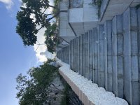IMG_3578.jpeg