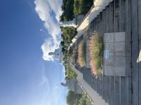IMG_3573.jpeg