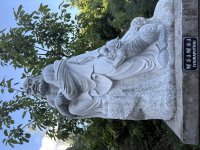 IMG_3582.jpeg