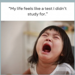1758224341322.png