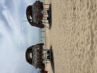 IMG_3769.jpeg