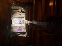 IMG_3883.jpeg