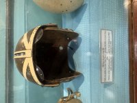 IMG_3872.jpeg