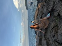 IMG_3937.jpeg
