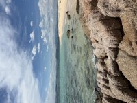 IMG_4091.jpeg