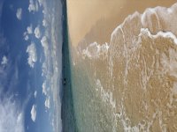 IMG_4077.jpeg