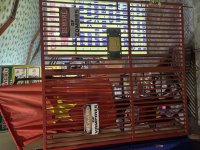 IMG_4106.jpeg
