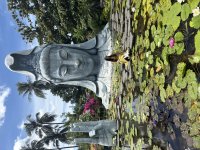 IMG_4051.jpeg