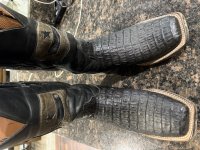 IMG_2928.jpeg