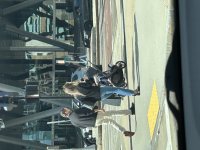 IMG_8447.jpeg