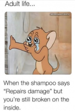 1758642519104.png