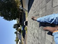 IMG_3066.jpeg