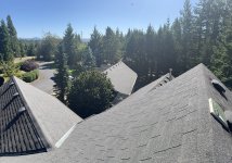 IMG_3095.jpeg
