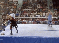 IMG_3993.gif