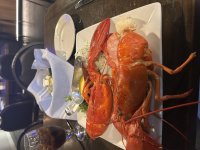 IMG_5159.jpeg