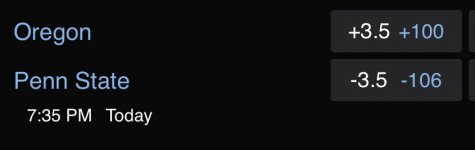 IMG_7940.jpeg