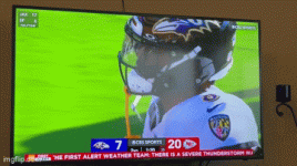 IMG_4020.gif
