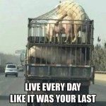FB_IMG_1589887144365.jpg