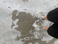 IMG_4719.jpeg