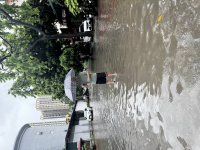 IMG_5242.jpeg