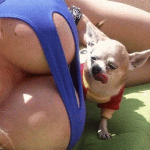 1759243787314.gif
