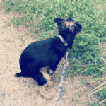 IMG_4136.gif