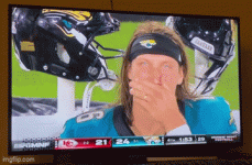 IMG_4156.gif