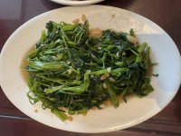 IMG_5159.jpeg