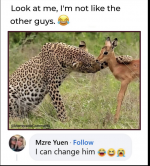 1759933813261.png