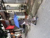 IMG_5248.jpeg
