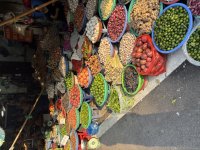 IMG_5270.jpeg