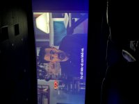 IMG_5345.jpeg