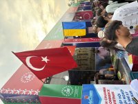 IMG_5419.jpeg