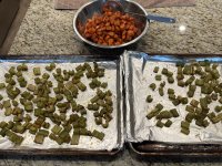 IMG_4199.jpeg