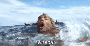 1760313603353.gif