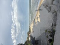 IMG_5670.jpeg