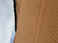 IMG_5795.jpeg