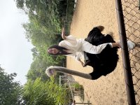 IMG_5775.jpeg