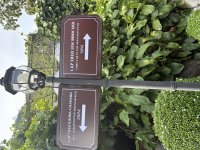 IMG_5939.jpeg