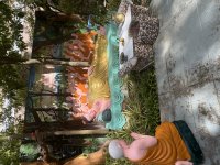 IMG_5924.jpeg