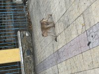 IMG_5920.jpeg