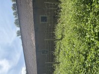 IMG_5882.jpeg