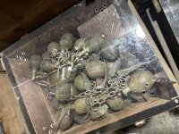 IMG_6016.jpeg