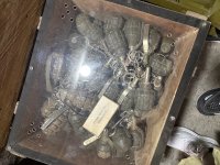 IMG_6015.jpeg