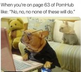 IMG_3752.jpeg