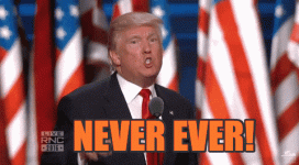 1760891583126.gif