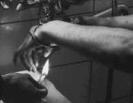 tumblr_lpl7b3r9Zf1qex9ayo1_500.gif