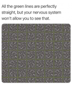 1761079498142.png