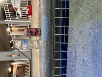 IMG_2173.jpeg