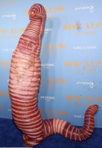 1761163329926.png
